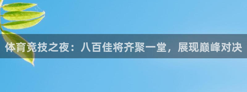 360体育直播软件：体育竞技之夜：八百佳将齐聚一堂，展现巅峰对决