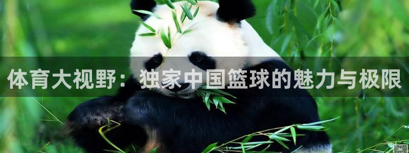 360绿色直播体育直播nba直播：体育大视野：独家中国篮球的魅力与极限