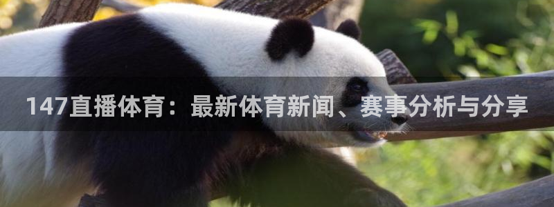 360体育直播无插件在线观看：147直播体育：最新体育新闻、赛事分析与分享