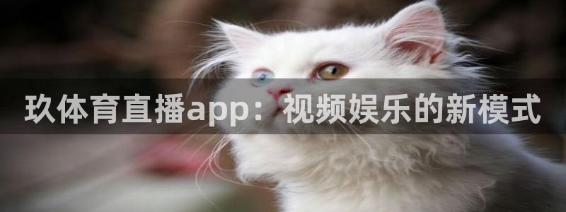 雨燕直播360高清直播nba：玖体育直播app：视频娱乐的新模式