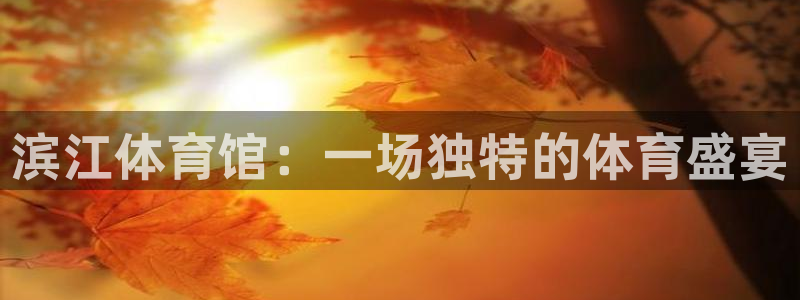 足球直播360高清直播178：滨江体育馆：一场独特的体育盛宴