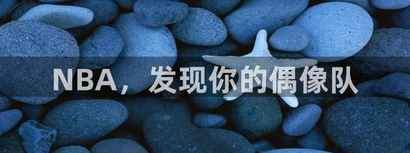 360足球直播在线观看免费：NBA，发现你的偶像队