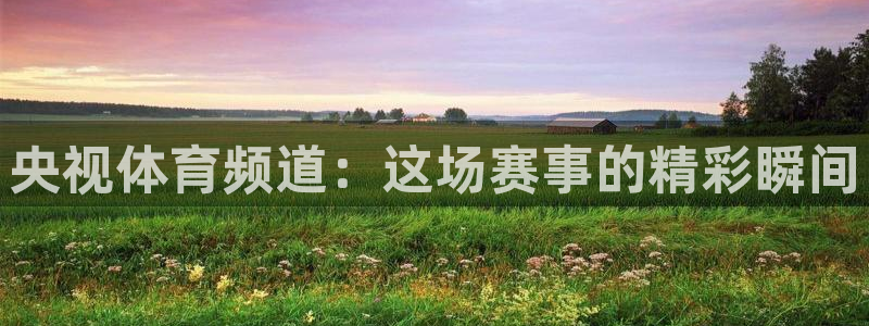 360直播足球直播雨燕相关：央视体育频道：这场赛事的精彩瞬间